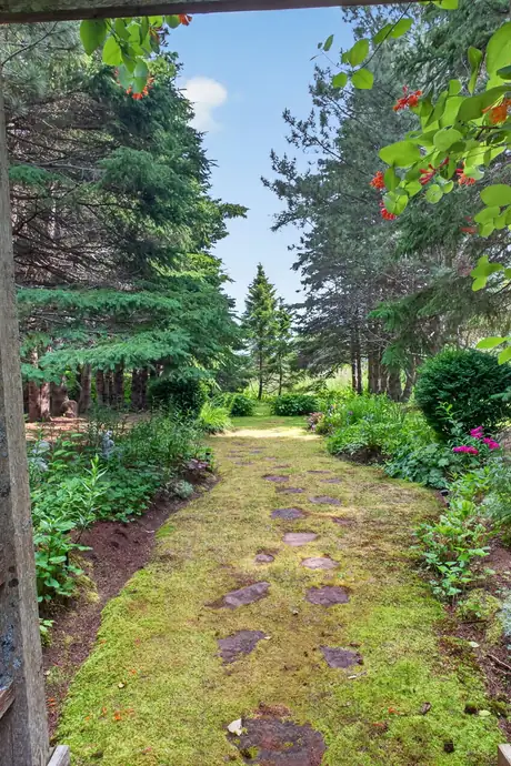 A mossy path passing through a leafy arch