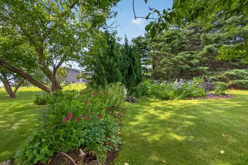 A deep flower border beneath the trees