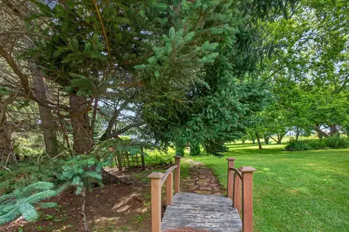 A small wooden bridge beneath the evergreens
