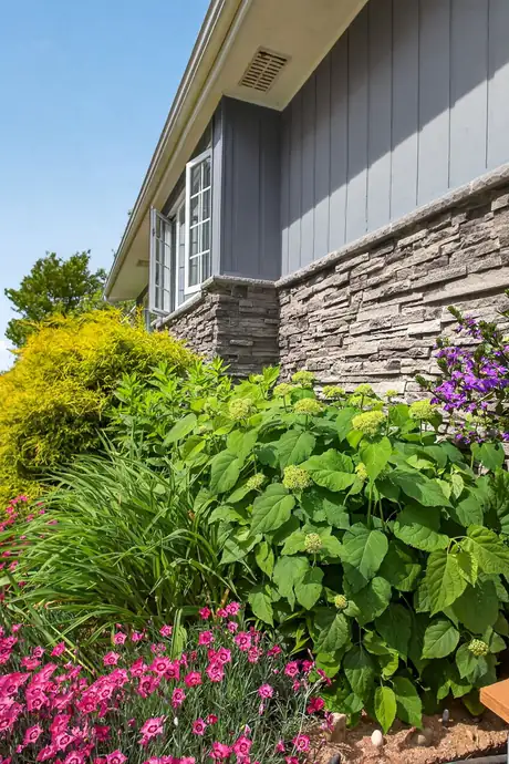 Pink and purple flowers massed at the corner of the house