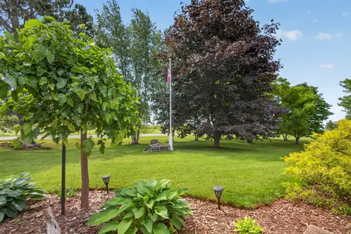 Young trees and hostas set into the lawn