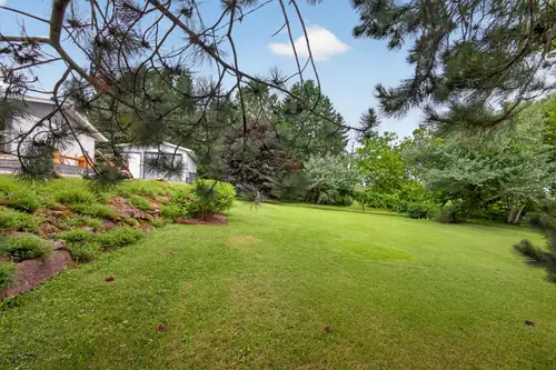 The open lawn beneath pine and fruit trees