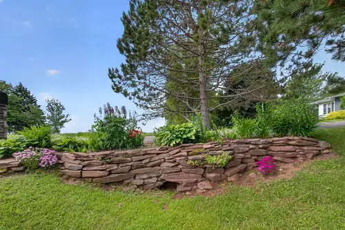 A low stone garden wall planted with flowers