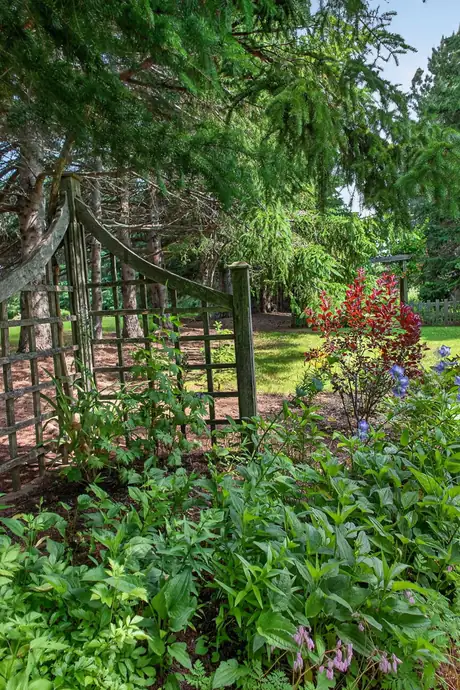 A trellis with flowers planted along its base