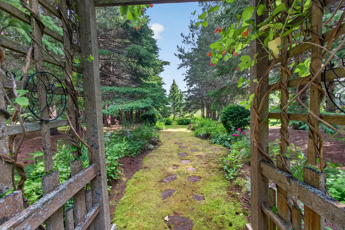 A mossy garden path passing through a leafy arch
